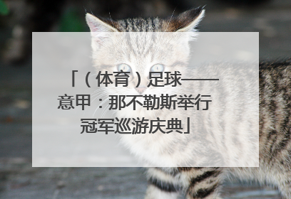 （体育）足球——意甲：那不勒斯举行冠军巡游庆典