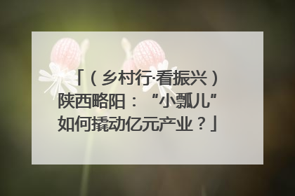 （乡村行·看振兴）陕西略阳：“小瓢儿”如何撬动亿元产业？