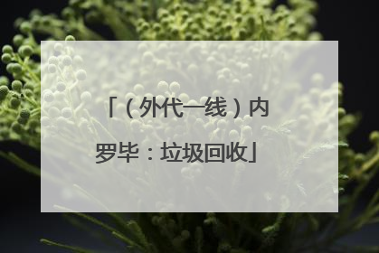 （外代一线）内罗毕：垃圾回收