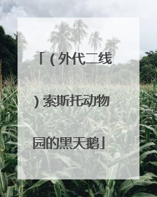 （外代二线）索斯托动物园的黑天鹅