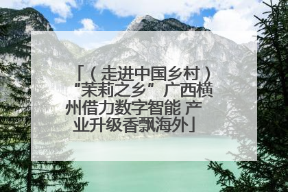 （走进中国乡村）“茉莉之乡”广西横州借力数字智能 产业升级香飘海外