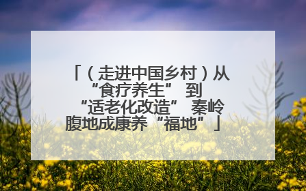 （走进中国乡村）从 “食疗养生” 到 “适老化改造” 秦岭腹地成康养“福地”
