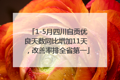1-5月四川自贡优良天数同比增加11天，改善率排全省第一