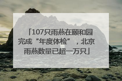 107只雨燕在颐和园完成“年度体检”，北京雨燕数量已超一万只