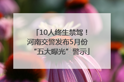 10人终生禁驾！河南交警发布5月份“五大曝光”警示