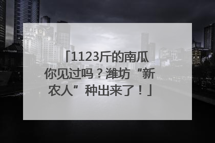 1123斤的南瓜你见过吗？潍坊“新农人”种出来了！