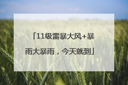 11级雷暴大风+暴雨大暴雨，今天就到