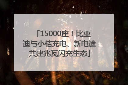 15000座！比亚迪与小桔充电、新电途共建兆瓦闪充生态