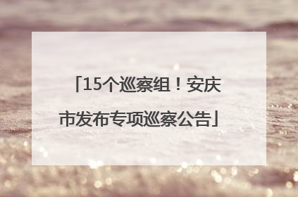 15个巡察组！安庆市发布专项巡察公告