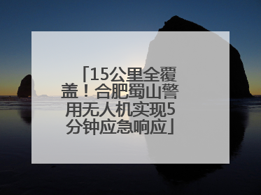 15公里全覆盖！合肥蜀山警用无人机实现5分钟应急响应