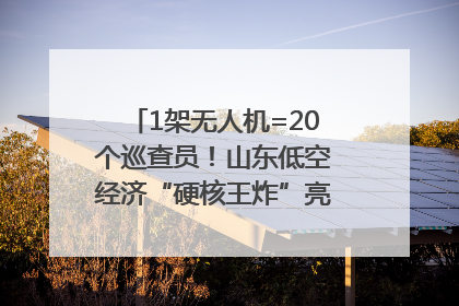 1架无人机=20个巡查员！山东低空经济“硬核王炸”亮相青岛，下一个万亿赛道藏在这里