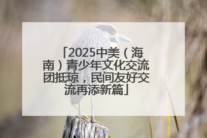 2025中美（海南）青少年文化交流团抵琼，民间友好交流再添新篇