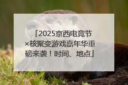 2025京西电竞节×核聚变游戏嘉年华重磅来袭！时间、地点
