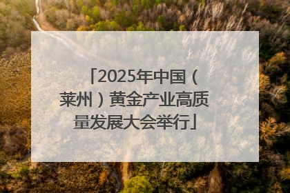 2025年中国（莱州）黄金产业高质量发展大会举行