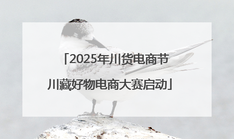 2025年川货电商节川藏好物电商大赛启动