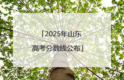 2025年山东高考分数线公布
