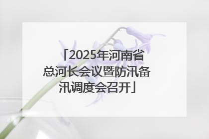 2025年河南省总河长会议暨防汛备汛调度会召开
