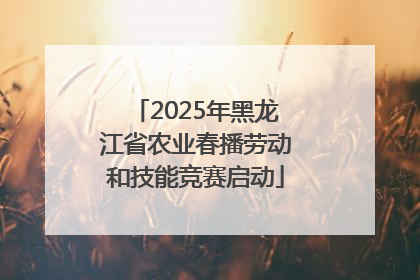 2025年黑龙江省农业春播劳动和技能竞赛启动