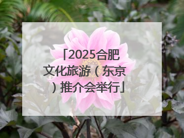 2025合肥文化旅游（东京）推介会举行