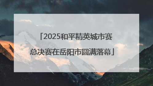 2025和平精英城市赛总决赛在岳阳市圆满落幕