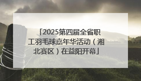 2025第四届全省职工羽毛球嘉年华活动（湘北赛区）在益阳开幕