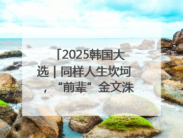 2025韩国大选｜同样人生坎坷，“前辈”金文洙能否打败李在明“逆风翻盘”？