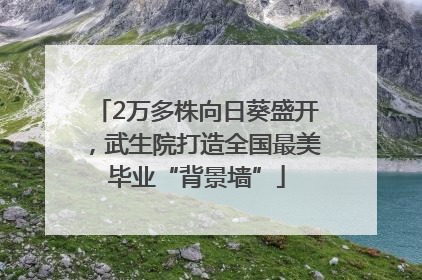 2万多株向日葵盛开，武生院打造全国最美毕业“背景墙”