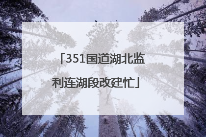 351国道湖北监利连湖段改建忙