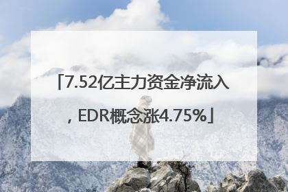 7.52亿主力资金净流入，EDR概念涨4.75%