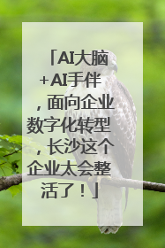 AI大脑+AI手伴，面向企业数字化转型，长沙这个企业太会整活了！