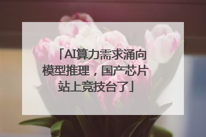 AI算力需求涌向模型推理，国产芯片站上竞技台了