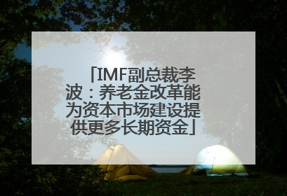 IMF副总裁李波：养老金改革能为资本市场建设提供更多长期资金